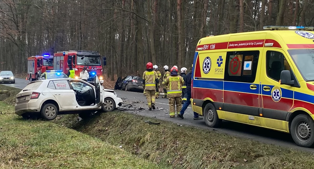 Zdjęcia z wypadku w Wieluniu / fot.: Iwona Domagała