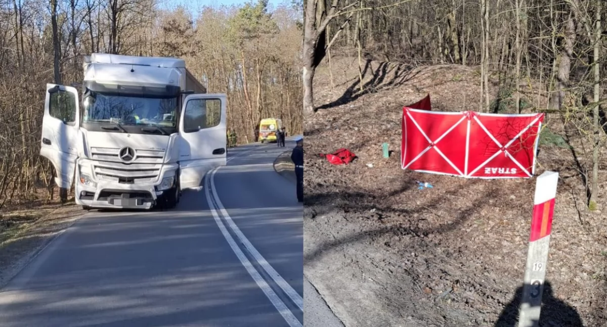 Na zdjęciu miejsce śmiertelnego wypadku / Fot. KPP Sieradz 