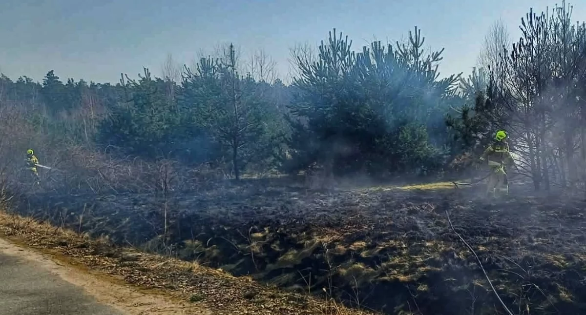 Zdjęcie z akcji gaszenia pożaru traw w miejscowości Swoboda, gm. Lututów/fot.: OSP KSRG Chojny