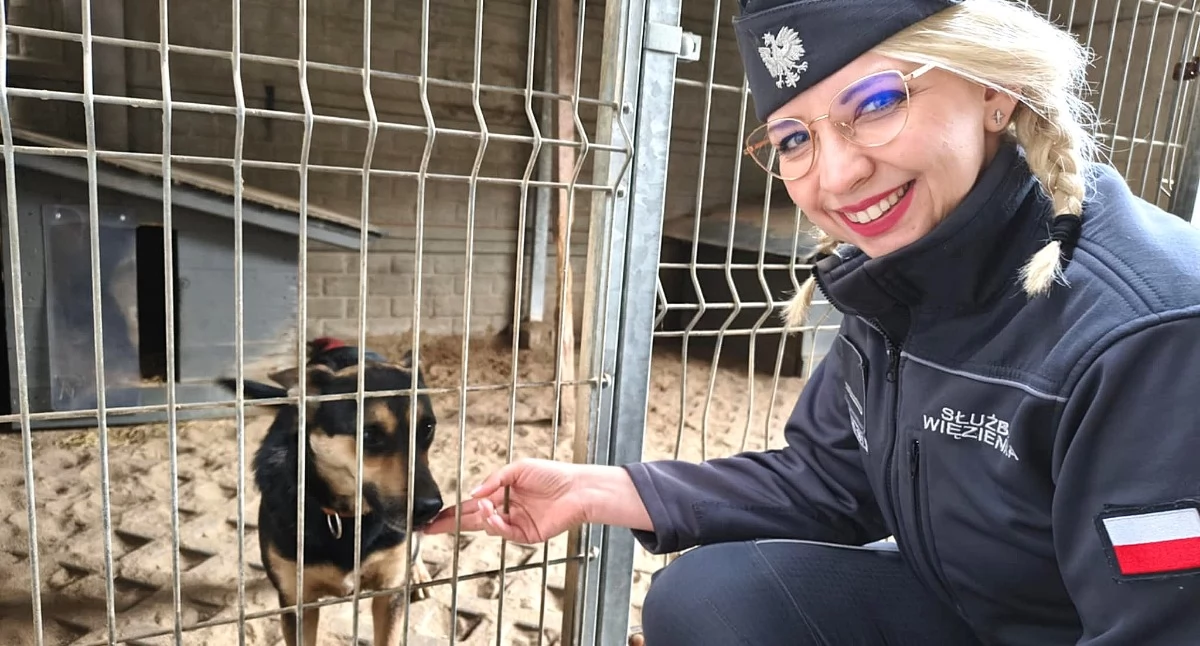 Zdjęcie z akcji COSSW zakup karmy weterynaryjnej dla schroniska w Trębaczewie / fot.: st. szer. Anna Wojnowska - Szymik / mjr Paweł Wcisło