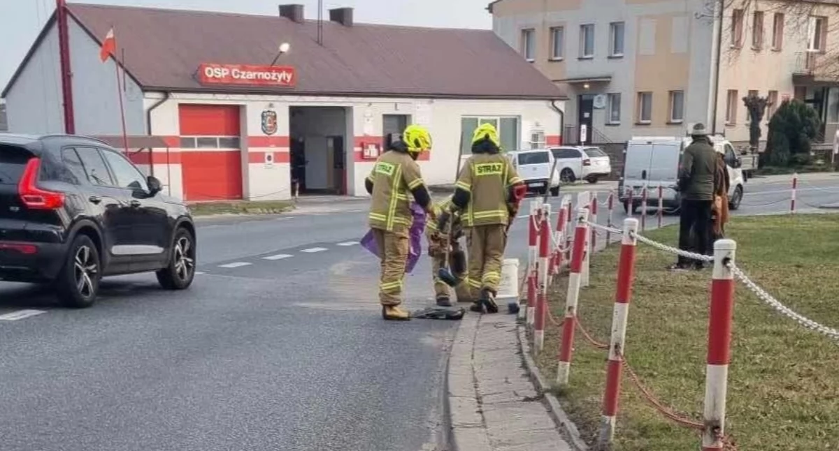 Zdjęcie z miejsca kolizji w Czarnożyłach i usuwania z drogi płynów eksploatacyjnych / fot.: OSP KSRG Czarnożyły