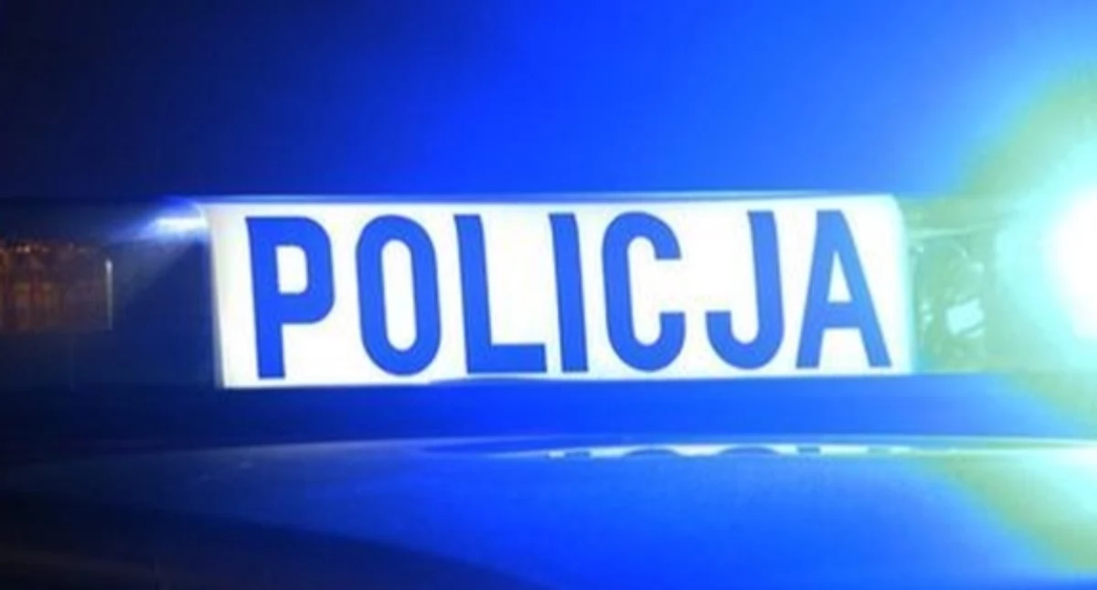 fot. Polska Policja (zdjęcie poglądowe)