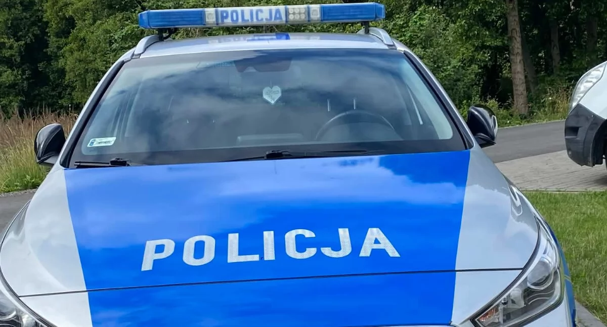 Zdjęcie poglądowe / Fot. Iwona Domagała / kulisy.net