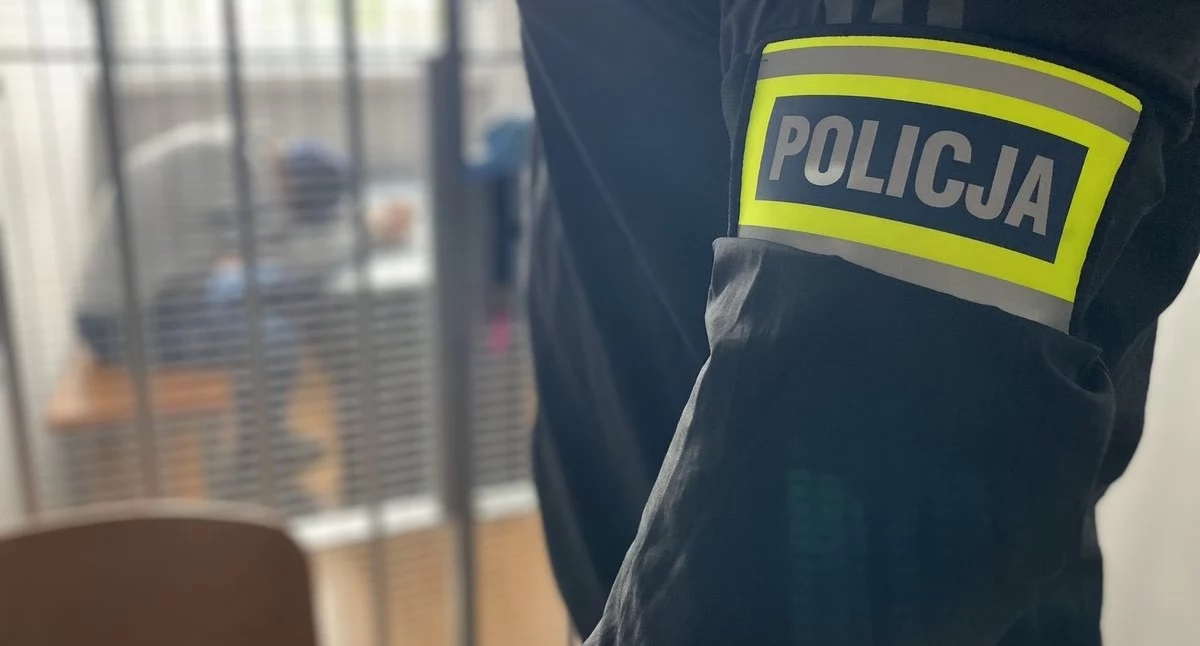 fot. Polska Policja (zdjęcie poglądowe)