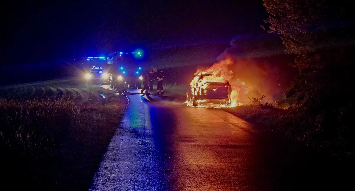 Zdjęcie pokazuje akcję gaśniczą samochodu. / KP PSP Ostrzeszów