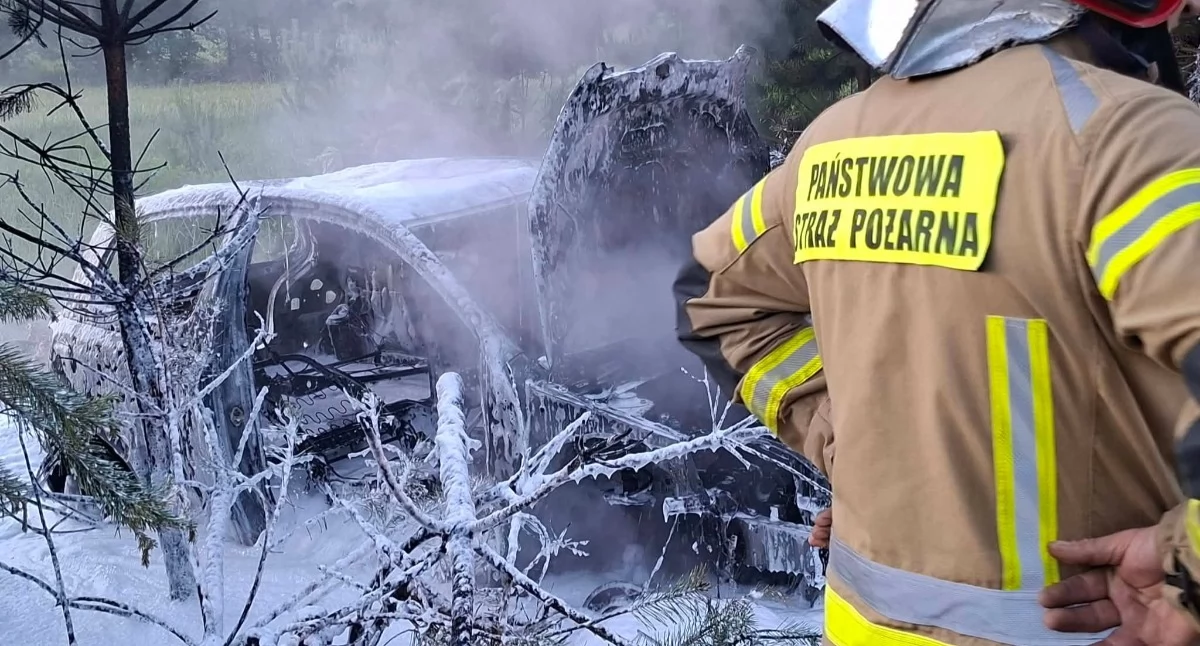Na zdjęciu akcja strażaków. Pożar auta porzuconego w lesie w gminie Działoszyn / fot.: Krzysztof Bularz