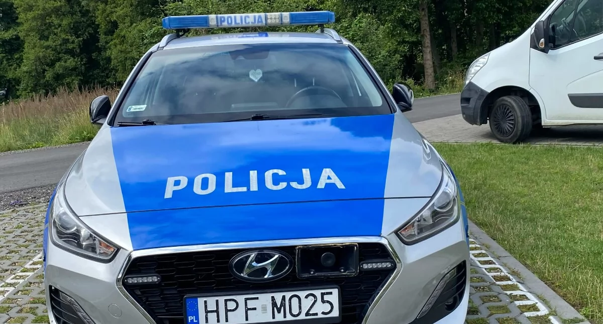 Zdjęcie poglądowe / Fot. Iwona Domagała / kulisy.net