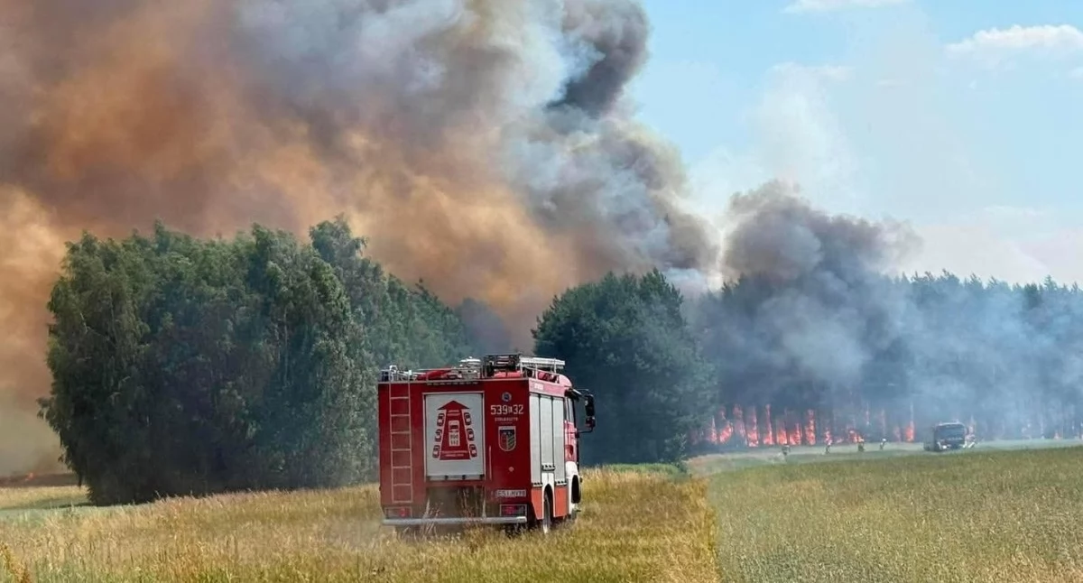Na zdjęciu miejsce pożaru / Fot. Facebook / OSP KSRG Wróblew