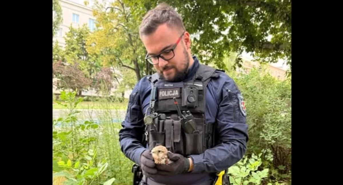 Na zdjęciu jeden z funkcjonariuszy, który uratował pisklę pustułki/fot.: Komenda Miejska Policji w Łodzi