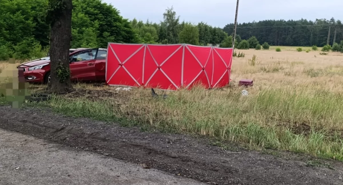 Na zdjęciu miejsce tragicznego wypadku w Chabielicach (gmina Szczerców) / Fot. KPP Bełchatów