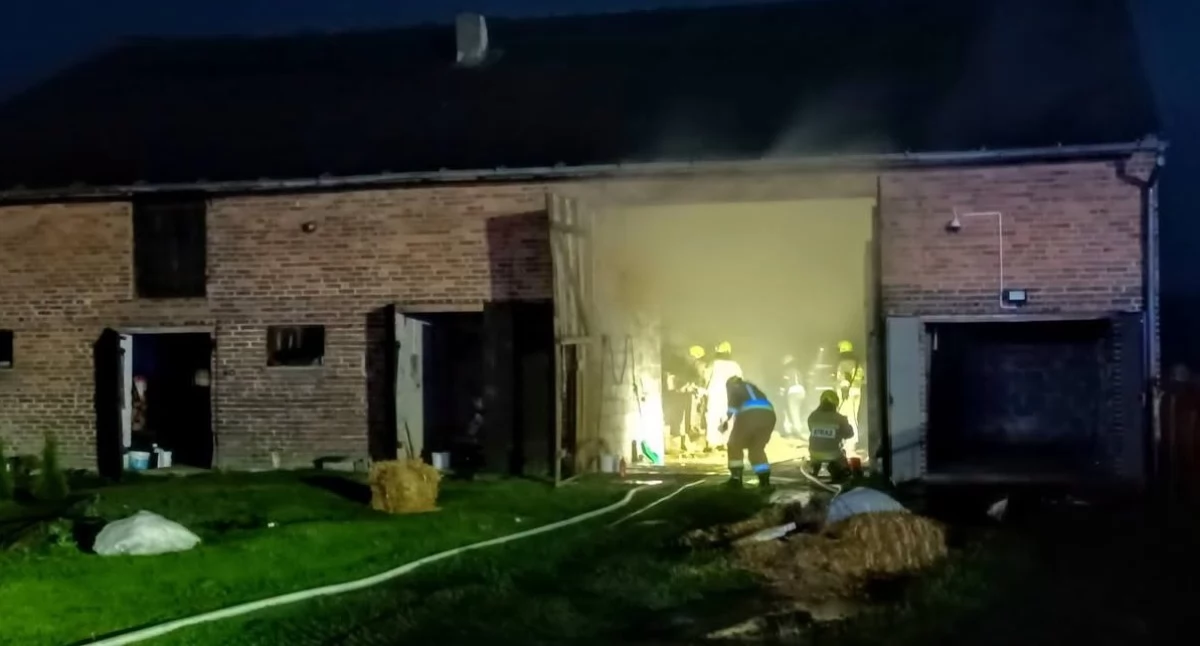 Zdjęcie z akcji ratowniczo-gaśniczej w Dalachowie/fot.: OSP w Praszce