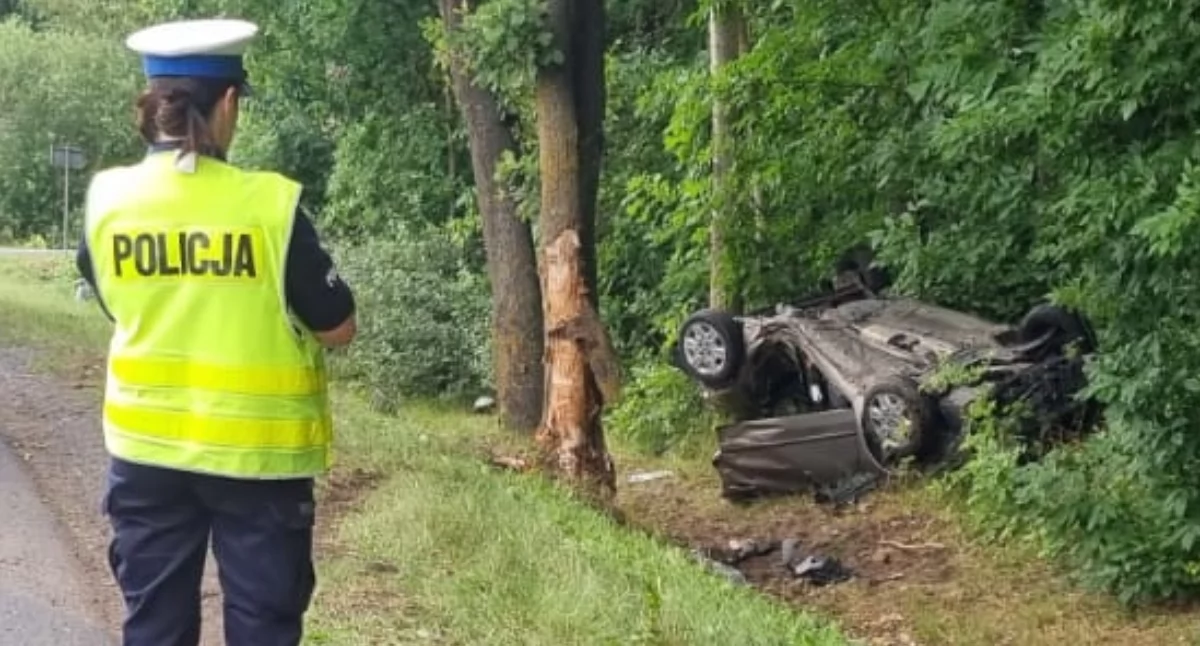 Na zdjęciu wypadek na DW 483 w m. Lubiec w gminie Szczerców (pow. bełchatowski) / fot.: KPP w Bełchatowie