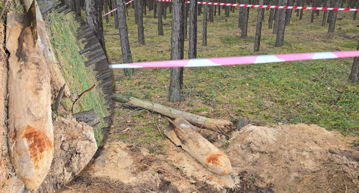 Niewybuchy z czasów II wojny światowej w lesie / fot.: Nadleśnictwo Opoczno 