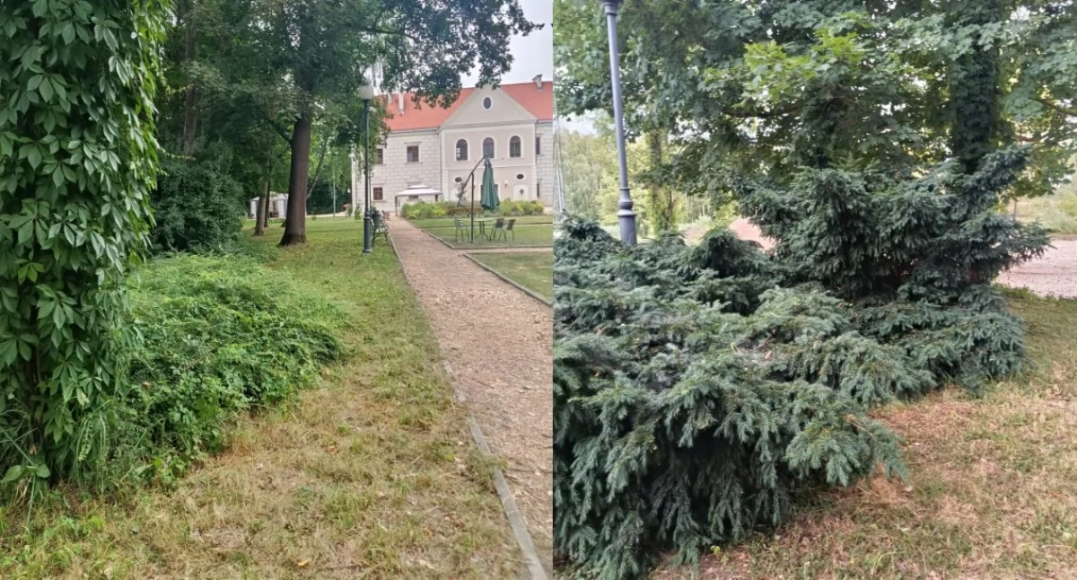Na zdjęciu teren Pałacu Męcińskich w Działoszynie / Fot. Facebook / Powiat Pajęczański 