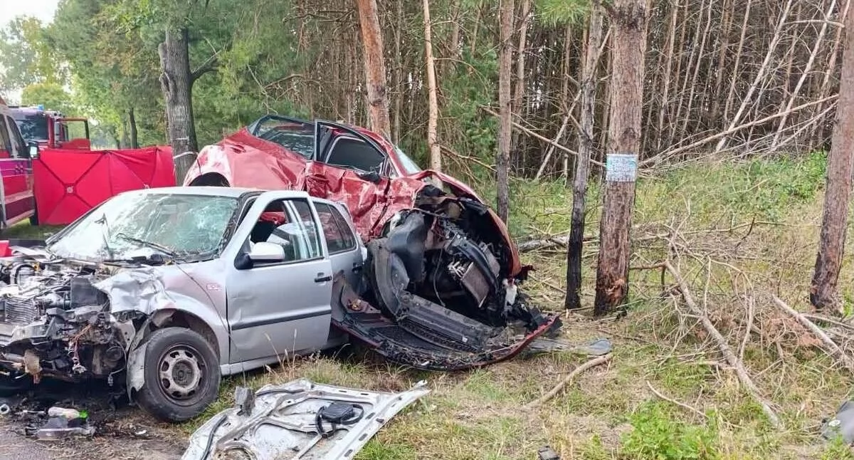 Na zdjęciu miejsce tragicznego wypadku / Fot. KPP Poddębice