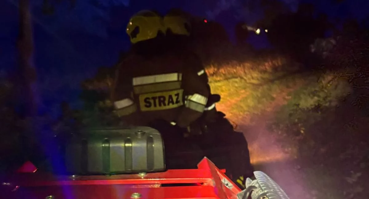 Na zdjęciu fragment akcji poszukiwawczej / Fot. Facebook / OSP Wieruszów