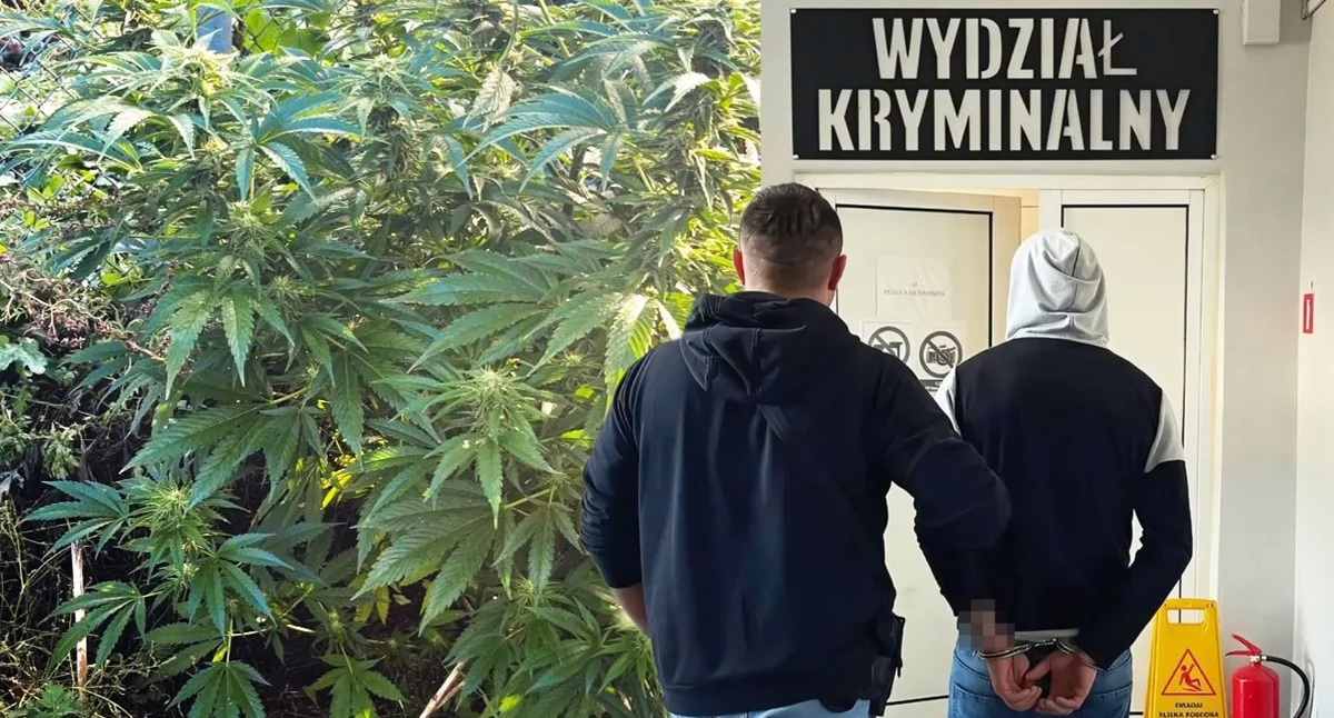 Zdjęcie zatrzymanego przez wydział kryminalny 29-latka / fot.: KPP Skierniewice, montaż: Sławomir Rajch