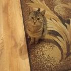 zdjęcie nr 265