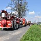 Fotka nr 1 z 6