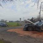 Fotka nr 2 z 4