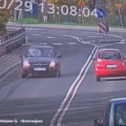 Łabędź spadł na drogę i został przejechany przez samochód. Zdjęcie z nagrania...