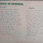 zdjęcie nr 9