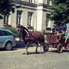 zdjęcie nr 69
