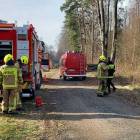 Fotka nr 2 z 14