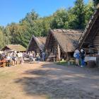 zdjęcie nr 8