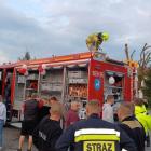 zdjęcie nr 31