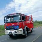 Fotka nr 4 z 5