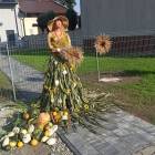 zdjęcie nr 8