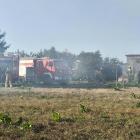 fot.: Iwona Domagała