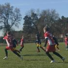 zdjęcie nr 13