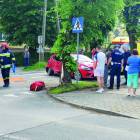 zdjęcie nr 7