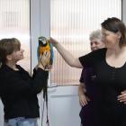 zdjęcie nr 10