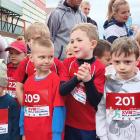zdjęcie nr 50