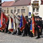 zdjęcie nr 8