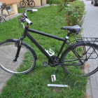 zdjęcie nr 12