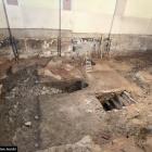 Zdjęcie z prac archeologicznych w kościele pobernardyńskim w Wieluniu / fot.: Muzeum...