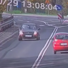 Łabędź spadł na drogę i został przejechany przez samochód. Zdjęcie z nagrania...
