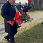 zdjęcie nr 9