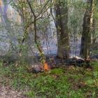 Zdjęcie pokazuje pożar lasu w Rząśni. / fot.: OSP KSRG Rząśnia