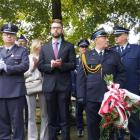 zdjęcie nr 195