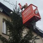 zdjęcie nr 13