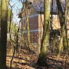 zdjęcie nr 43