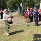 zdjęcie nr 12