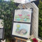fot.: Iwona Augustyniak