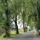 zdjęcie nr 14