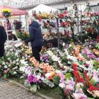 zdjęcie nr 17